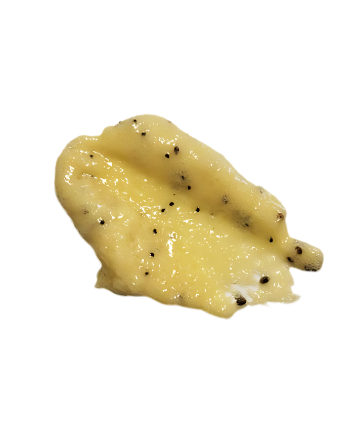 Crema Di Limoncello Sugar Scrub